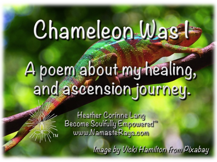 Chameleon was I